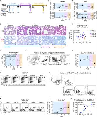 Influence of Nutrition and Maternal Bonding on Postnatal Lung Development in the Newborn Pig